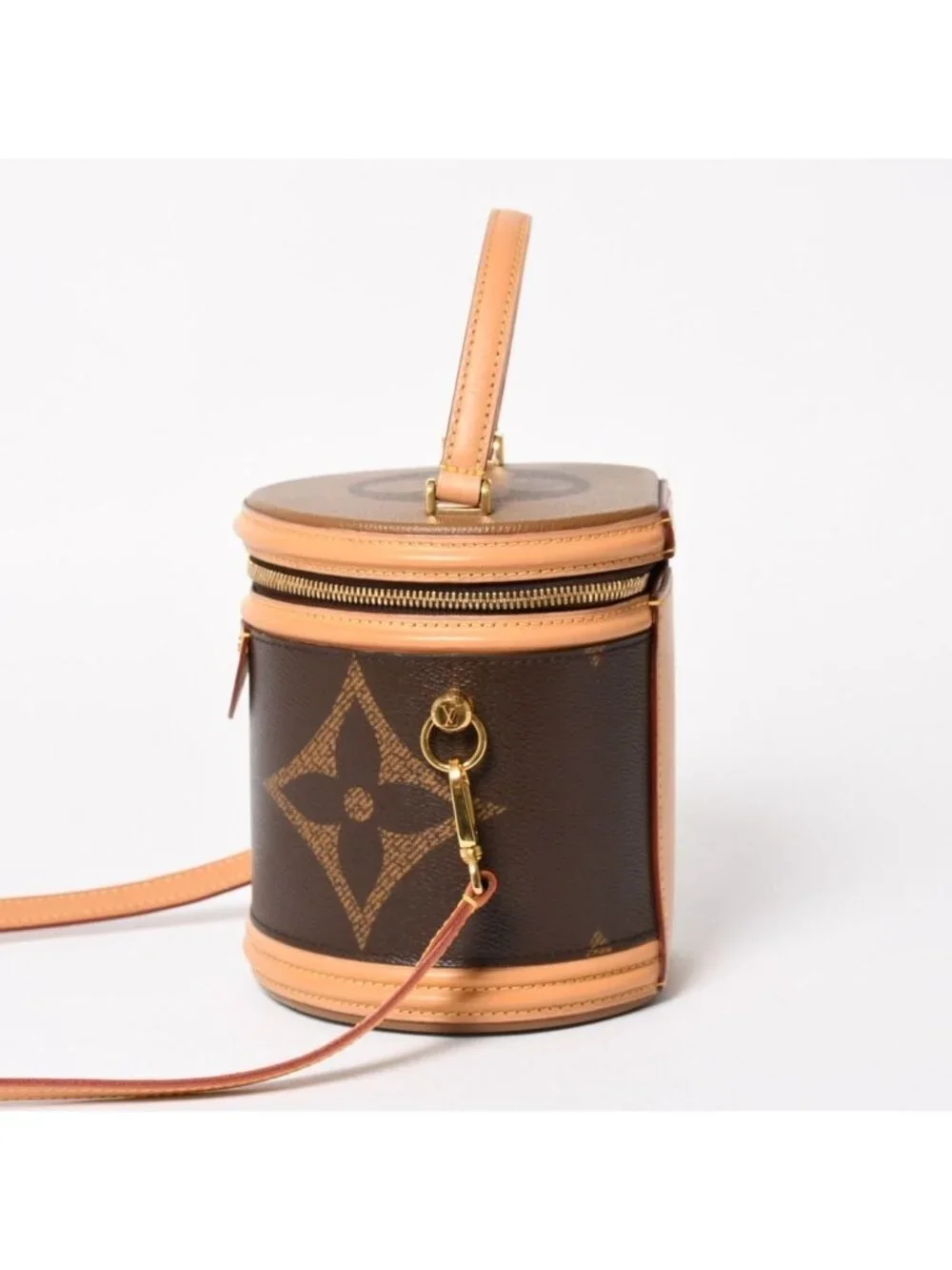 Louis Vuitton Cannes Vanity Monogram Giant Brown Reverse Shoulder Bag